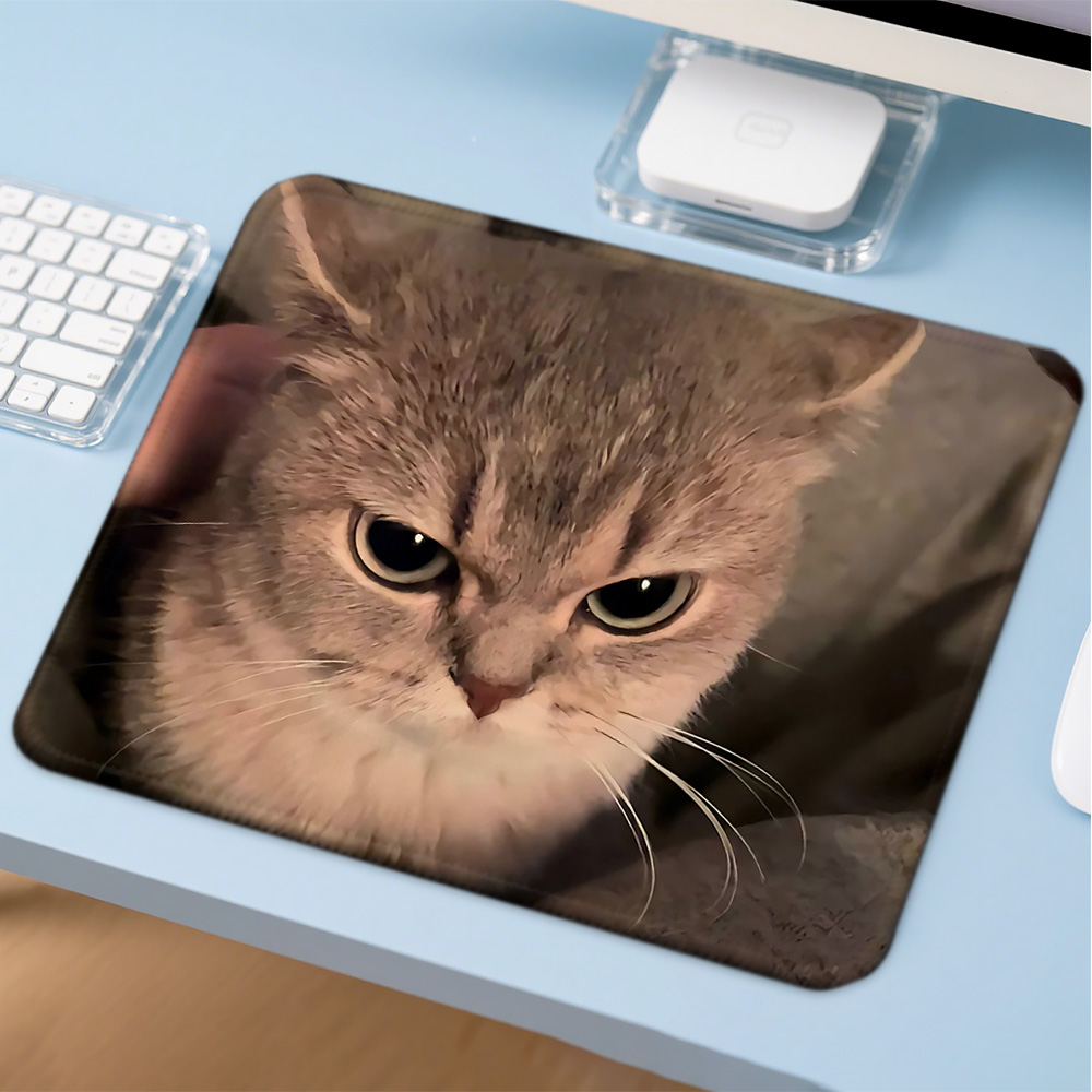 Mosepad Kawaii Funny Cat Compu - Gaming Accessories Companies 评论和价格
